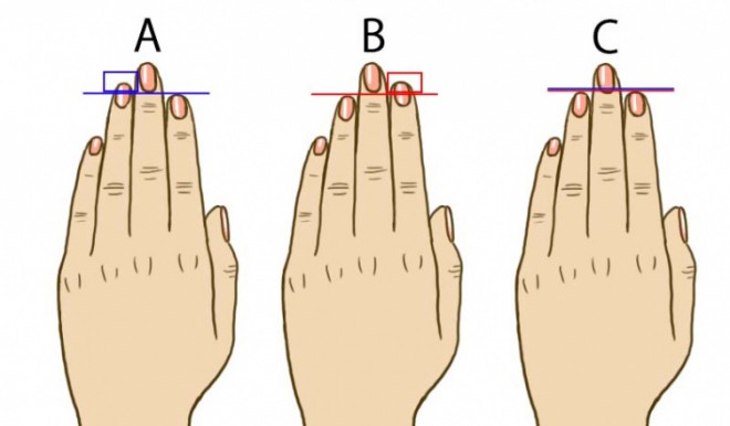 Kiváncsi vagy, mit árul el az ujjad hossza?
