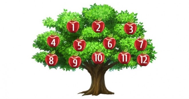 Válassz egy számot és tudd meg mit mond Neked a szeretnék fa!