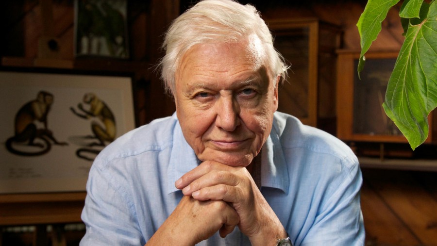 Fogadd meg a 91 éves Sir David Attenborough tanácsát!